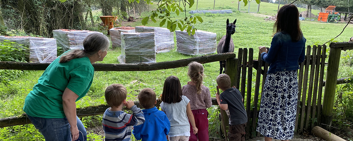 Zwei Erzieherinnen und fünf Kinder beobachten ein Alpaka
