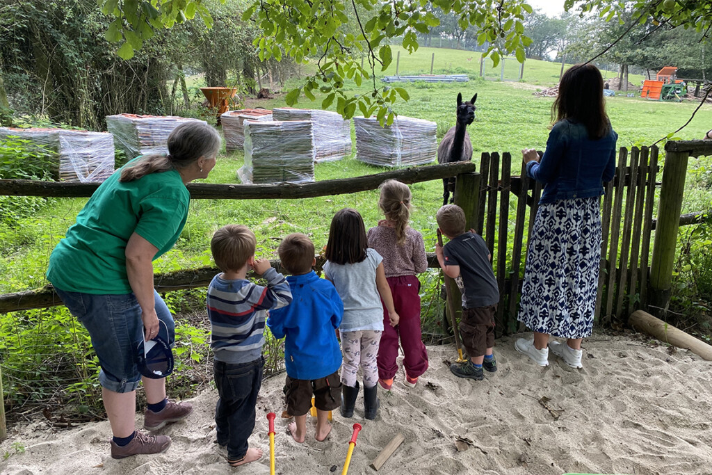Zwei Erzieherinnen und fünf Kinder beobachten ein Alpaka